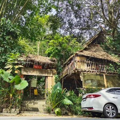 Rainforest Tree House Café